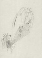 Untitled (Fernrohre) | 21x30 cm | pencil on paper | 2009
