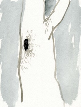 Anton Engel