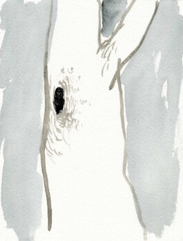 Vogel in Baum | 18x24 cm | ink on paper | 2017 